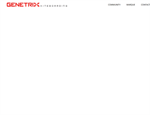 Tablet Screenshot of genetrixkiteboarding.com